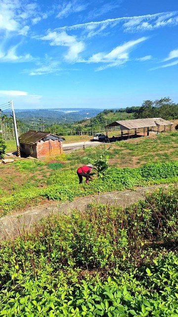 南投中寮優質農地｜南投縣中寮鄉後寮段