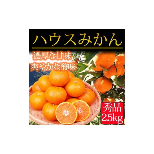 ふるさと納税 和歌山県 和歌山市 ☆先行予約☆赤秀品 紀州和歌山ハウスみかん 2.5kg