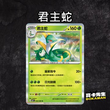 虛無歸零 君主蛇 M3006 寶卡先生 寶可夢 寶可夢卡牌 PTCG