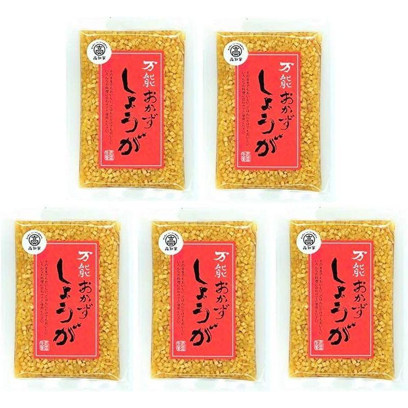 四国健商 高知県産 生姜 万能おかずしょうが 130g×5袋 (国産)