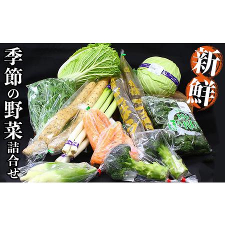 ふるさと納税 新鮮　季節の野菜　おまかせ詰め合わせセット　宮城県　東松島市　朝採り　野菜　産直 宮城県東松島市