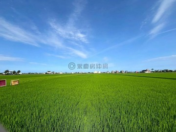 礁溪鄉瑪璘路交通便利綠意盎然足坪農地｜宜蘭縣礁溪鄉玉光一段