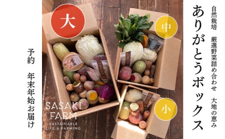 〈自然栽培〉佐々木ファーム　旬の野菜詰め合わせ　～ありがとうBOX 2023・大～　やさい　直送　北海道　洞爺湖町