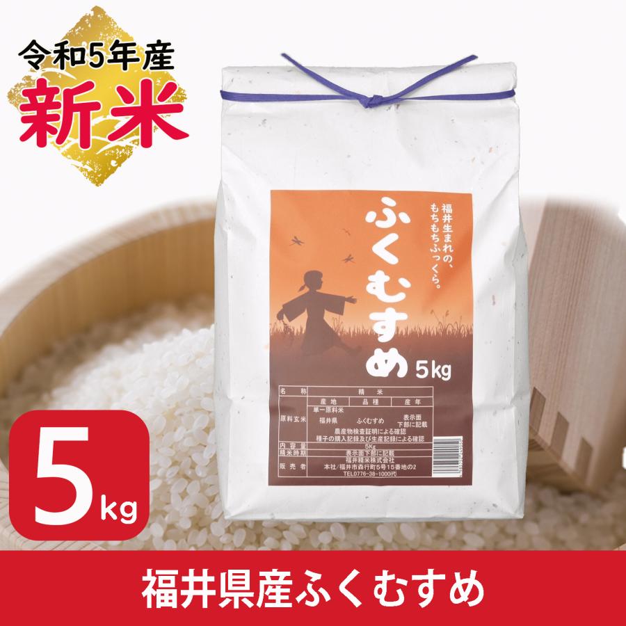 新米 5kg ふくむすめ 福井県産 白米 令和5年産 送料無料