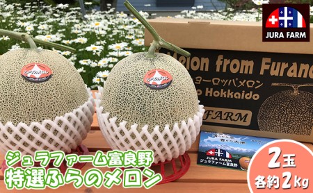 特選 ふらの メロン 2玉 約2kg×2玉 北海道 富良野市 赤肉メロン (ジュラファーム富良野)