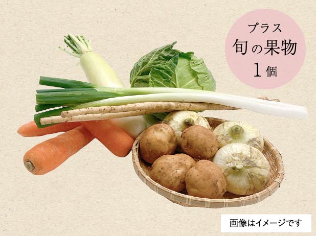 国内産 定番野菜7品目＋お任せの旬の果物1品 国内産 定番野菜７品目＋お任せの旬の果物１品