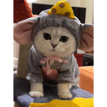 貓咪衣服老鼠大耳朵變身裝狗狗寵物比熊泰迪小型犬搞怪搞笑春秋裝