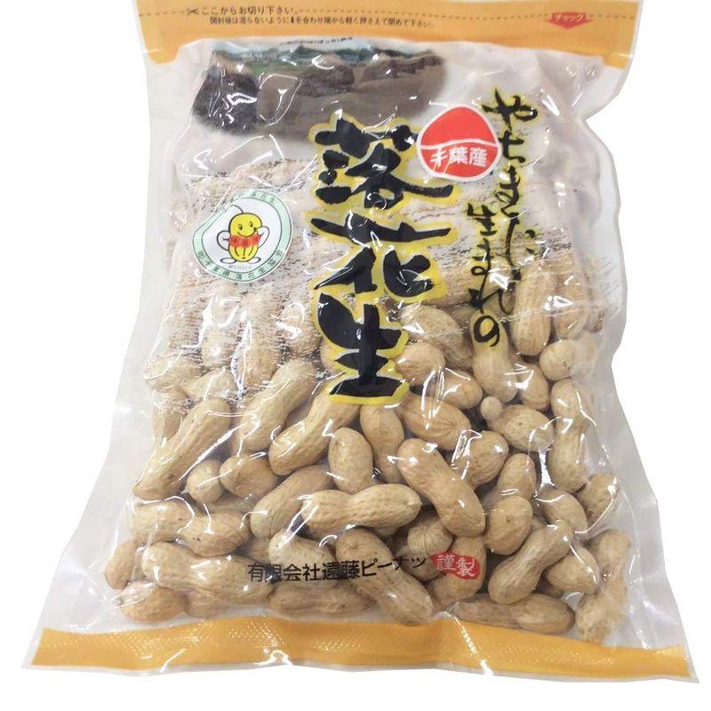 煎ざや(ナカテユタカ)500g 千葉県八街産落花生