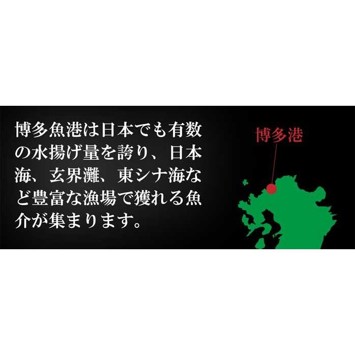 産地直送九州 お取り寄せ 干物 ひもの 食べ比べ 豪華 魚 添加物不使用 無添加 お歳暮 ギフト 贈答 記念 熨斗 帰省暮 送料無料