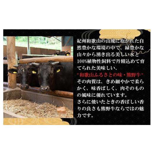 ふるさと納税 和歌山県 九度山町 和歌山県産熊野牛 豪華肉おせち（すき焼き用）2人前