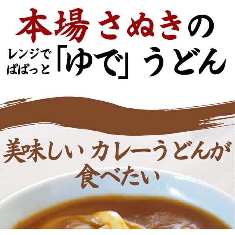 うどん さぬきうどん 讃岐のカレーうどん 10食 讃岐うどん ご当地 セット 産直 どんまい