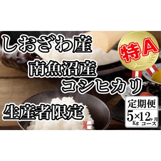 ふるさと納税 新潟県 南魚沼市 生産者限定 契約栽培 南魚沼しおざわ産コシヒカリ