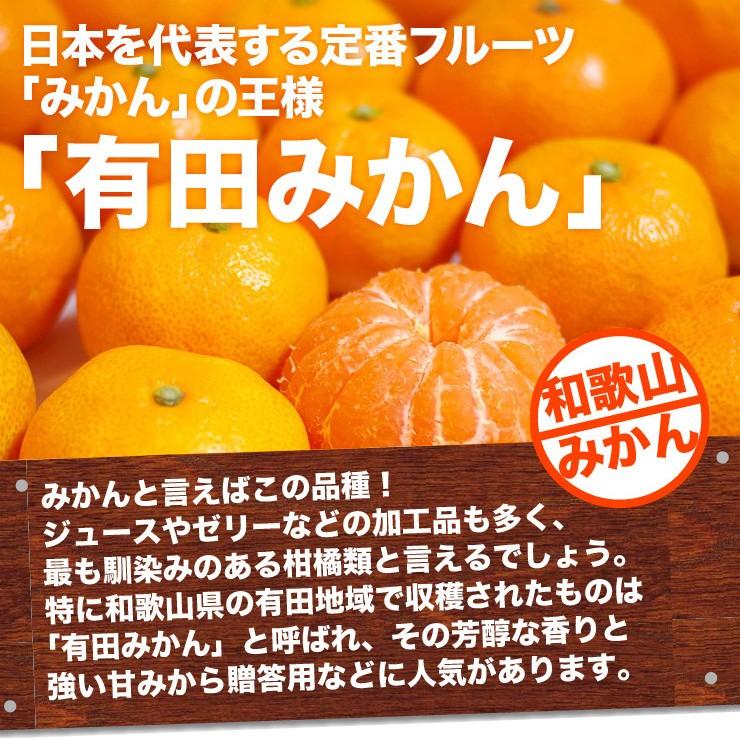 訳あり みかん ちょっと 5kg 有田みかん 蜜柑 自宅用 訳アリ 送料無料 ミカン 箱買い 産地直送 安い 糖度 家庭用 5キロ 和歌山県産 訳アリ