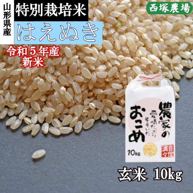 特別栽培米はえぬき岩魚米 （令和５年産）玄米 10kg