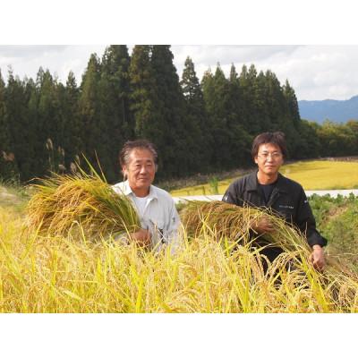 ふるさと納税 新潟県 令和4年産　魚沼産こしひかり　5kg×4袋