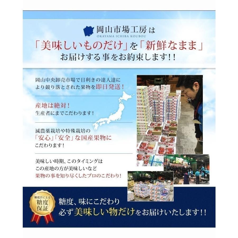 ＼ 2023 ギフト ／ 岡山県産 マスカット＆ピオーネセット 贈答用 ギフト 父の日 御中元 ぶどう ブドウ プレゼント 御礼 御祝 果物 くだもの フルーツ