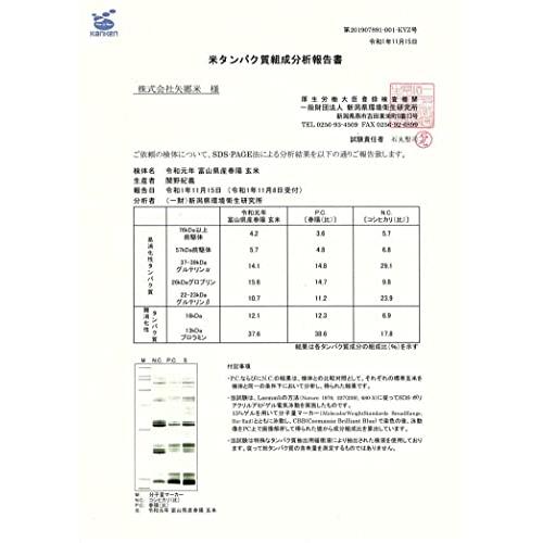 富山県産「低たんぱく米」「低グルテリン米」春陽（令和5年産）5kg