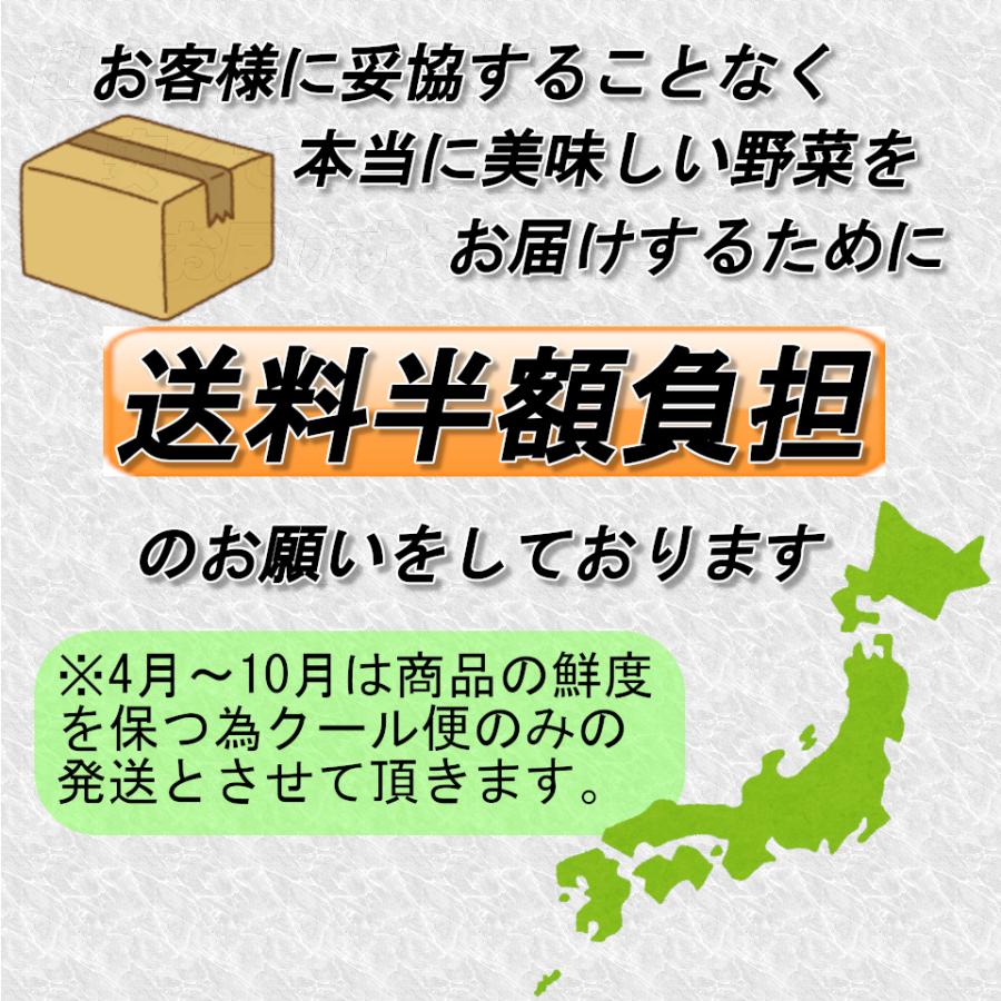 三浦野菜 じゃがいも きたあかり 1kg 送料半額 東日本 神奈川県産