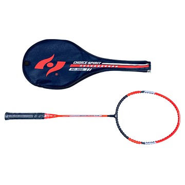 Her-Ea 禾亦 HE-300 羽球拍 鐵製材質 尼龍線 台灣製造  1支