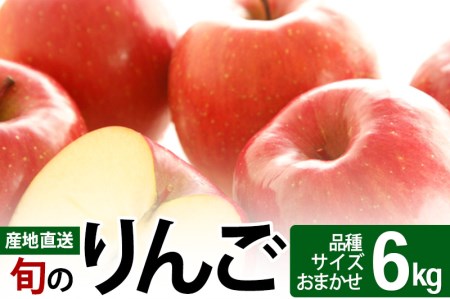 《先行受付》旬のりんご 6kg (品種、サイズおまかせ) 令和5年産 (11〜12月頃発送) ご自宅向け 産地直送 リンゴ 林檎 フルーツ