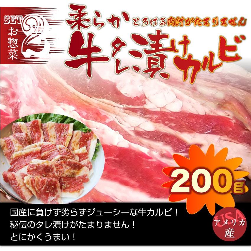 焼肉 牛肉 肉 カルビ三昧セット 5種のカルビ 焼き肉 カルビ ソーセージ BBQ 福袋 お歳暮 ギフト 食品 プレゼント キャンプ キャンプ飯