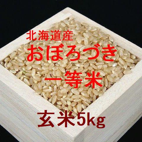 北海道産 おぼろづき 一等米 玄米5kg （令和4年産）