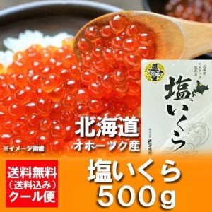 いくら 500g 塩いくら 送料無料 塩 いくら 北海道 塩イクラ 500g 魚介類 イクラ