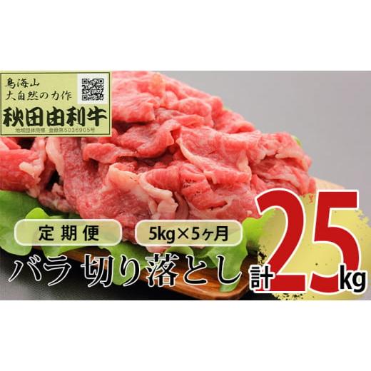 ふるさと納税 秋田県 にかほ市 《定期便》5ヶ月連続 秋田由利牛 バラ切り落とし 5kg（1kg×5パック）