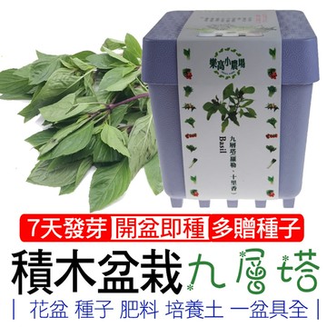 【心安購物】iPlant積木盆栽-九層塔