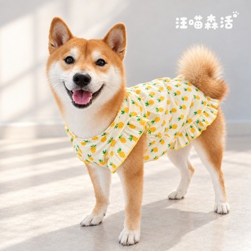 【汪喵森活－優惠出清💲】 鳳梨 飛袖洋裝 度假 旅遊 狗衣服 狗夏季衣服 寵物衣服 柯基 柴犬 貴賓 西高地 米克斯