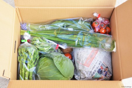 島原半島の旬の野菜セット 10～12品種    まるまさ   長崎県 雲仙市 [item0989]   野菜 やさい 詰め合わせ 食べ比べ 期間限定