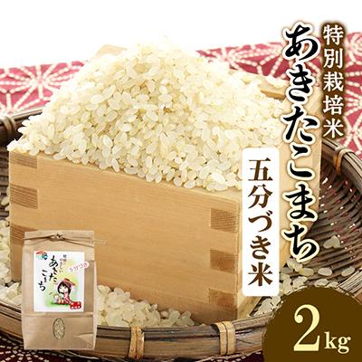 ふるさと納税 大潟村 令和5年度産　特別栽培米あきたこまち　五分づき米2kg