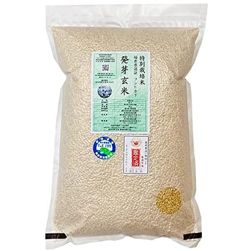 発芽玄米 無農薬・無化学肥料栽培 無農薬コシヒカリ「特選」限定米 5kg 令和5年産 真空パック 米・食味鑑定士認定米