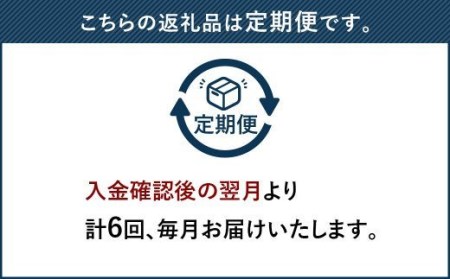  博多和牛 ヒレ シャトーブリアン 300g (2枚入り) 黒毛和牛