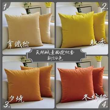 【台灣現貨】研紡枕所 天鵝絨｜素面系列｜新24色｜45x45cm
