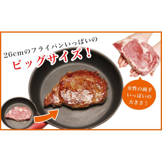 肉 牛肉 ステーキ肉 赤身 ギフト ステーキ 1ポンドステーキ バーベキュー 熟成肉 焼肉 熟成＆極厚1ポンドステーキ 450g 夏ギフト 福袋 中元 帰省 土産