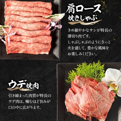 ふるさと納税 宮崎市 宮崎牛肩ロース 焼きしゃぶ300g ウデ 焼肉400g 合計700g(宮崎市)