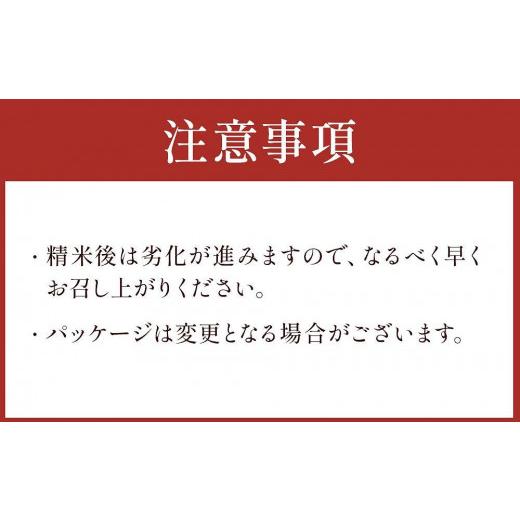 ふるさと納税 北海道 八雲町 〈2回定期便〉北海道八雲町熊石産 ゆめぴりか(精白米) 10kg