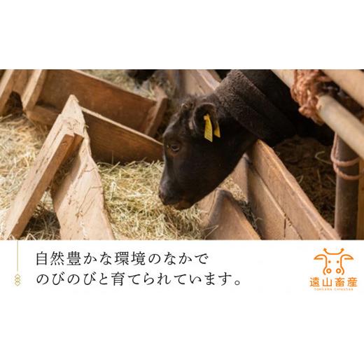 ふるさと納税 静岡県 掛川市 ５５２６　掛川牛「 和牛 」　バラ肉 焼肉 カット 500ｇ（ 250ｇ × 2袋 小分け ） 遠山畜産　小分け