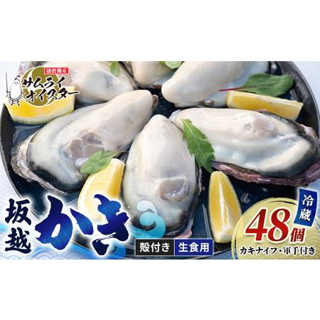 ふるさと納税 牡蠣 生食 坂越かき 殻付き 48個(牡蠣ナイフ・軍手付き)サムライオイスター 生牡蠣 冬牡蠣 兵庫県赤穂市