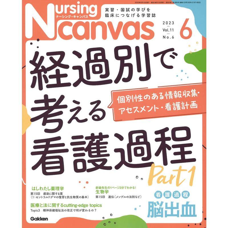 Nursing Canvas(ナーシングキャンバス) 2023年 06 月号 雑誌