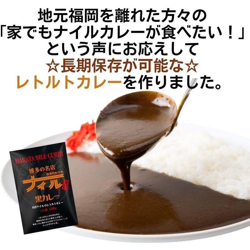 博多の名店ナイル 黒 レトルトカレー 辛口 180ｇ (10袋セット)