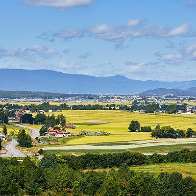 ふるさと納税 川西町 山形県産米「はえぬき」玄米 5kg(5kg×1袋)全6回