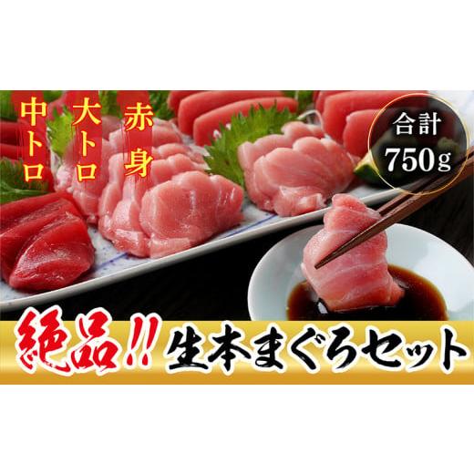 ふるさと納税 福井県 越前市 絶品！生本マグロ セット 大トロ 250g   中トロ 250g   赤身 250g　（すべて柵どり）