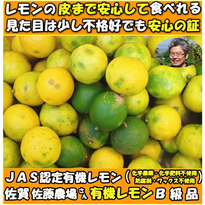 レモン 国産 3kg B品 訳あり 有機 JAS認証  オーガニック ノーワックス 防腐剤不使用 皮まで食べれる 佐賀 佐藤農場