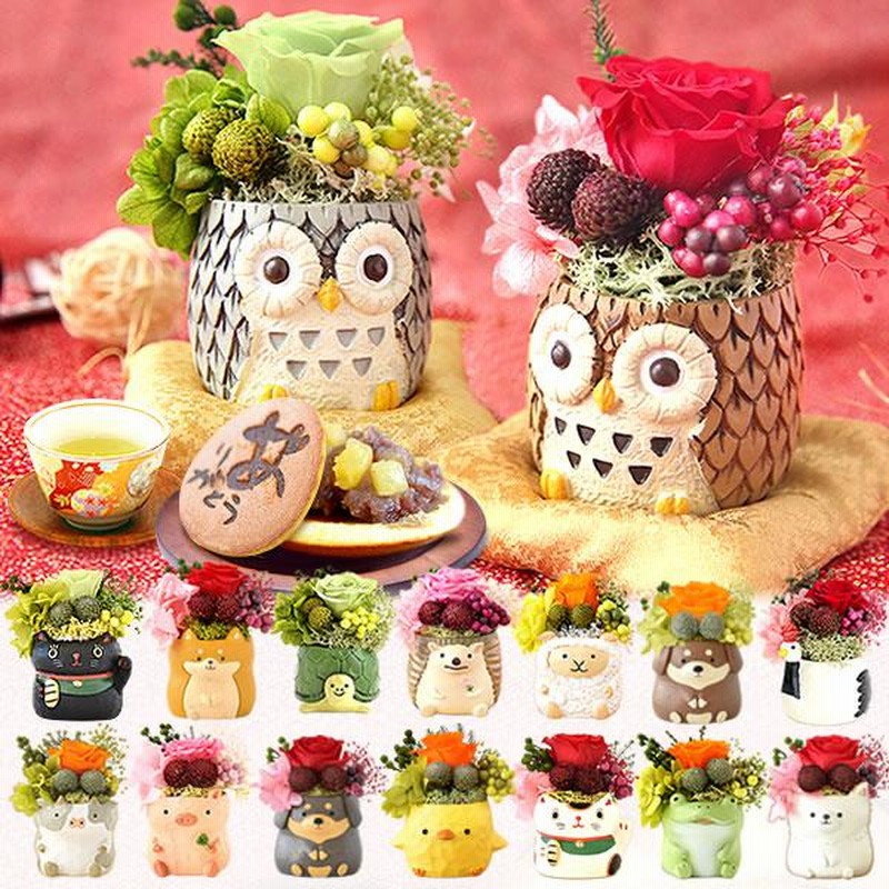 誕生日プレゼント お祝い プレゼント 花 プリザーブドフラワー お菓子 和菓子 セット ギフト 花とスイーツ スイーツ 60代 70代 80代 通販 Lineポイント最大0 5 Get Lineショッピング