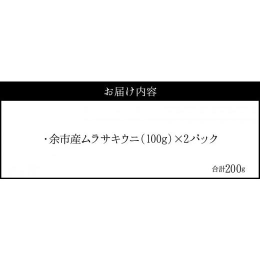 ふるさと納税 北海道 余市町 塩水ウニ 100g×2パック 計200g 2024年夏発送 北海道余市町産