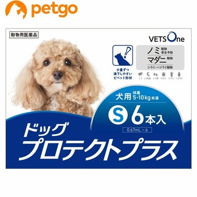 あすつく パピテイン 5ml 犬猫用 １個 動物用医薬品 創傷性角膜炎 角膜潰瘍における角膜障害の改善 点眼薬 通販 Lineポイント最大0 5 Get Lineショッピング