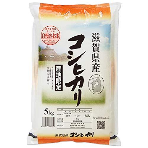 新米 滋賀県産 コシヒカリ 白米 5kg 令和5年産 井口農園産 近江米