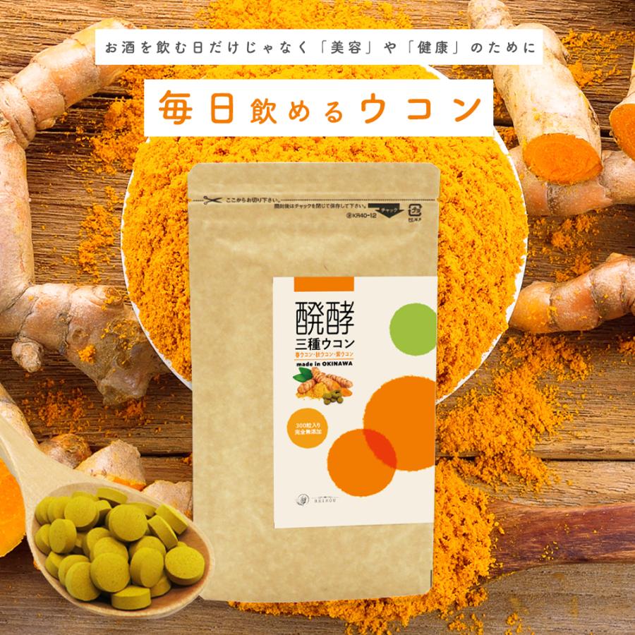 ウコン サプリ 錠剤 発酵ウコン 醗酵三種ウコン 300粒(1ヶ月分